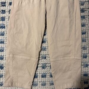 EVERLANE Barrel Utility Pants